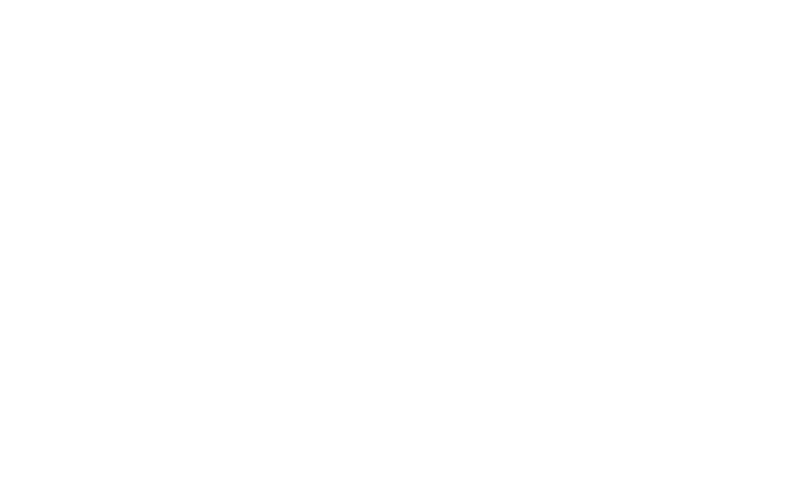 King Taco